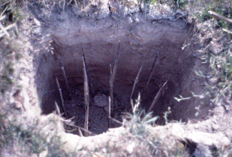 Vietnamese guerrillas setting up booby traps [769 x 759] r/MilitaryPorn