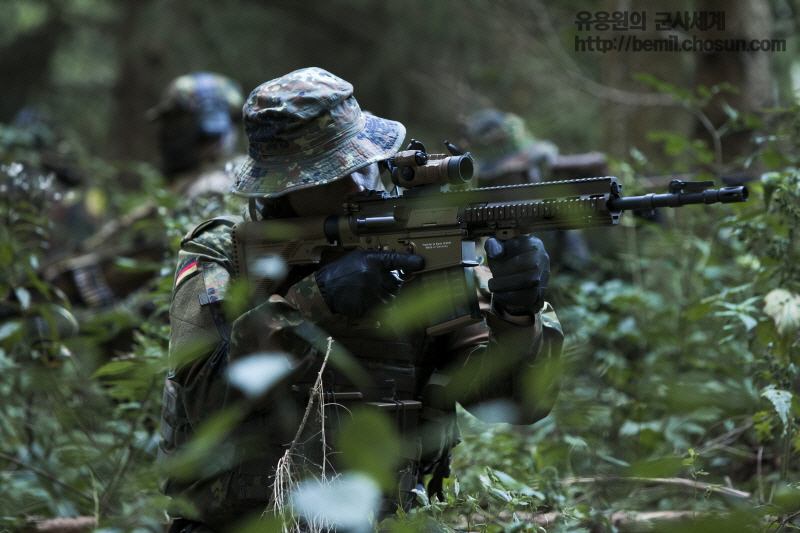 출처: 한국네티즌본부