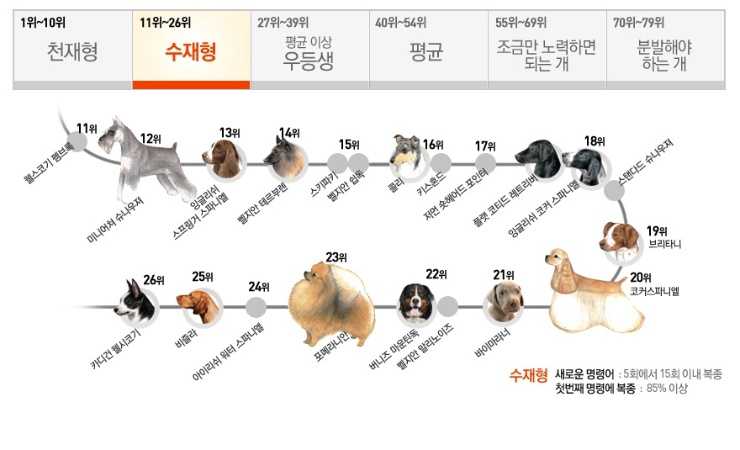 ���� ũ��� ���÷��� Ŭ���� �ּ���