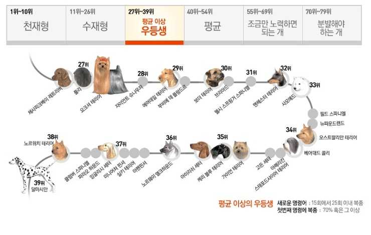 ���� ũ��� ���÷��� Ŭ���� �ּ���