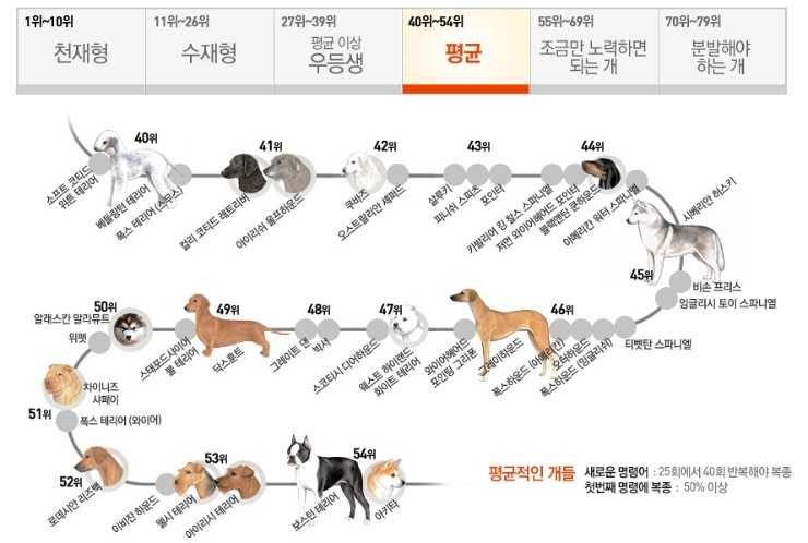 ���� ũ��� ���÷��� Ŭ���� �ּ���