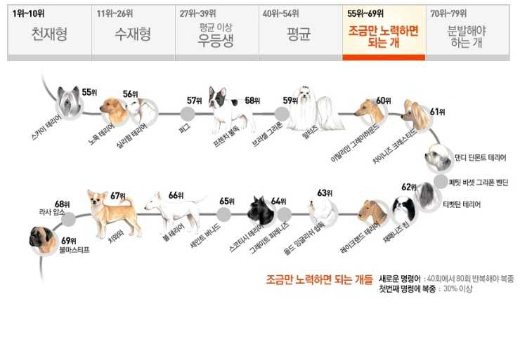 ���� ũ��� ���÷��� Ŭ���� �ּ���