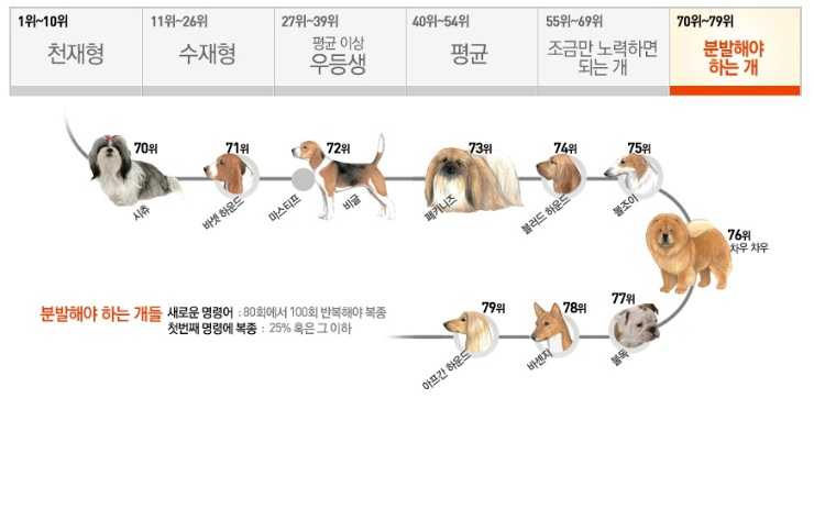 ���� ũ��� ���÷��� Ŭ���� �ּ���