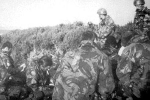 실제 크기로 보시려면 클릭해 주세요