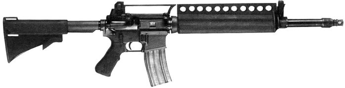 Ʈ ACR ȸ M16A2E2 <ó: Public Domain>