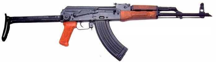 폴란드의 PMKS 소총 <출처: Public Domain>