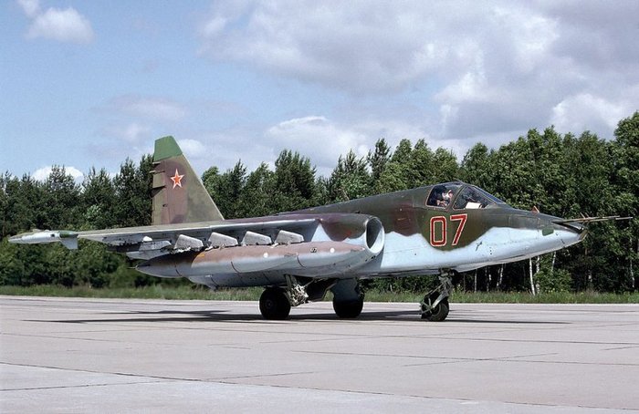 Su-25BM < 출처 : (cc) Rob Schleiffert at wikimedia.org >