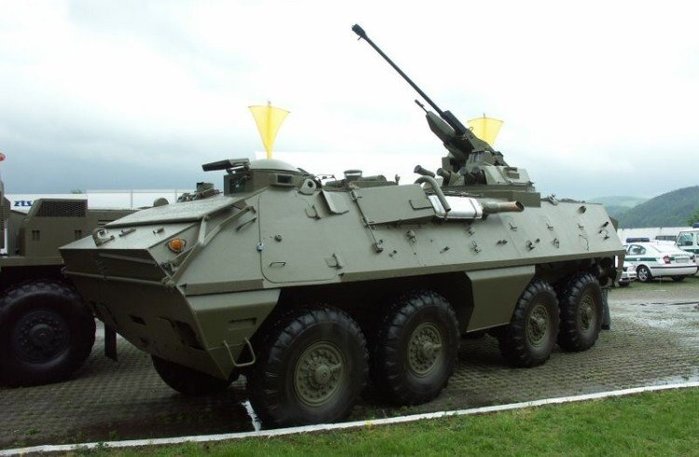 30mm 2A42 기관포 장착 IFV 버전인 코브라 프로토타입 <출처 : aw.my.games>