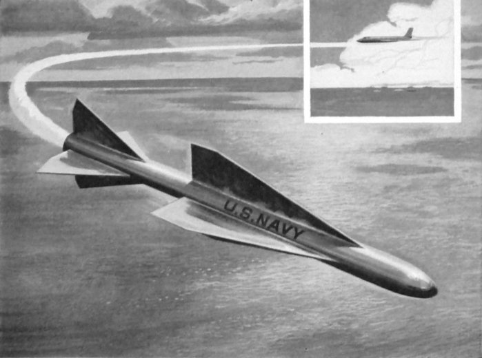 F6-D에 장착을 염두에 두고 개발된 벤딕스사의 AAM-N-10 '이글(Eagle)' 공대공 미사일. (출처: US Navy)