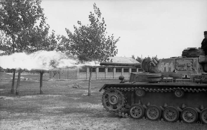 Flammpanzer III Ausf. M < 출처 : Public Domain >