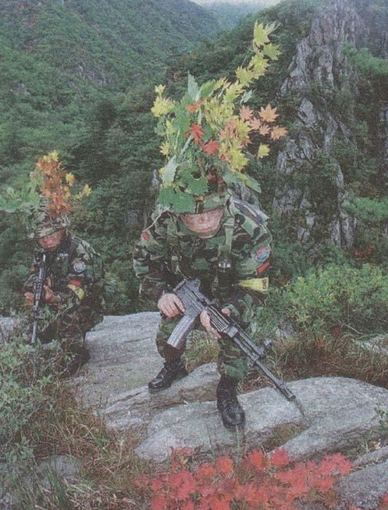 BEMIL 사진 자료실 유용원의 군사세계