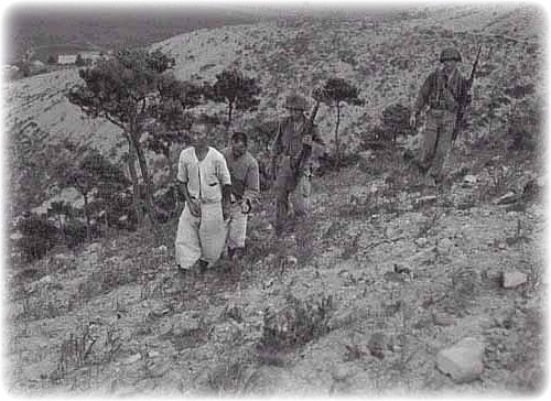 BEMIL 사진 자료실 - 유용원의 군사세계