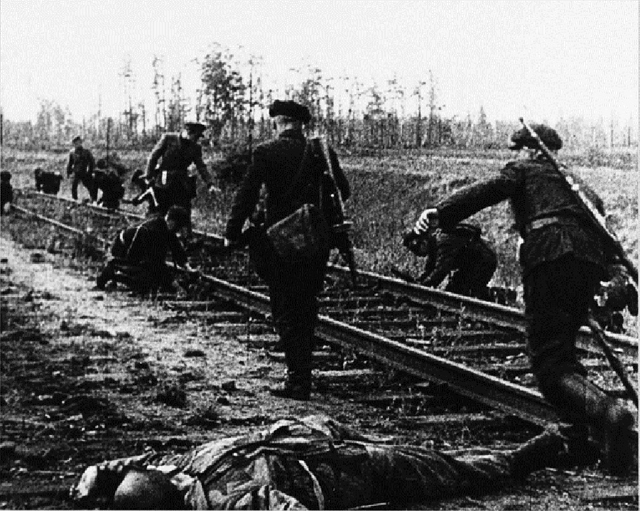 BEMIL 사진 자료실 - BEMIL 군사세계