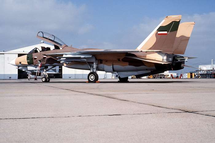 ̶    F-14A .    ر  б 1992 濡 Կ , ش ü  ̶  F-14 ƴ϶     ̶   F-14̴. <ó: Public Domain>
[̹ Ĺ] F-14 Ĺ  -  ô븦 ǳ  ϳ  ()