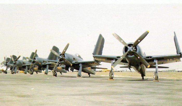 F8F는 전후 미 해군 시범비행단인 블루 에인절스에서 사용되었던 점을 제외하고 특이한 운용 사례는 없다. < 출처 : Public Domain >